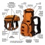 Sunset Orange - Walk-On with Harness & Storage - X-Small (11-13" Neck 11-15" Chest)