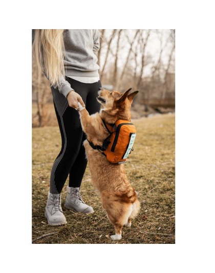 Sunset Orange - Walk-On with Harness & Storage - X-Small (11-13" Neck 11-15" Chest)