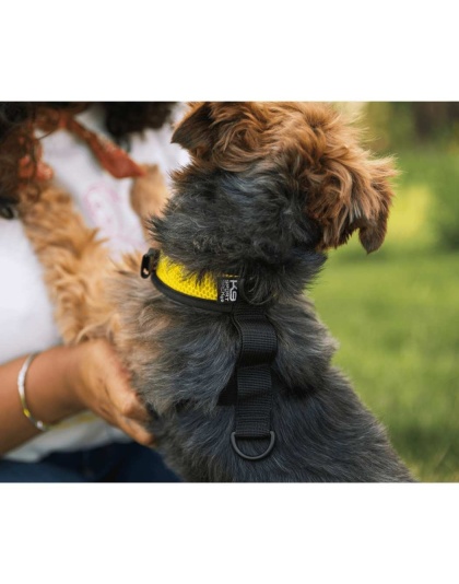 Buttercup Yellow - Walk-On with Harness & Storage - X-Small (11-13" Neck 11-15" Chest)