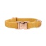 Yellow - Collar  - Small