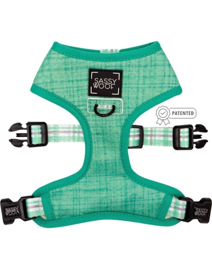 Teal - Reversible Harness  - Medium