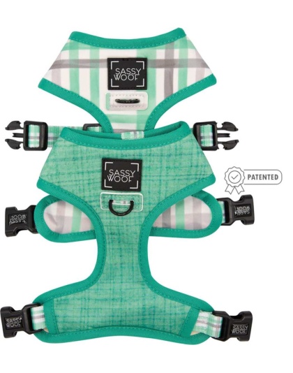 Teal - Reversible Harness  - Small