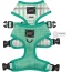 Teal - Reversible Harness  - XXS