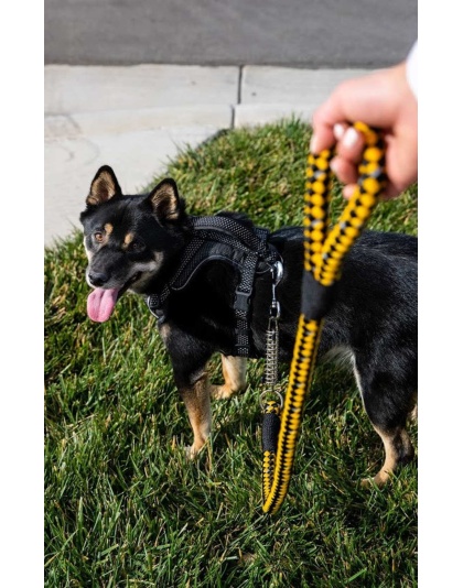 Bumblebee - Tug Control Leash with Reflectors & Shock Absorber - Large