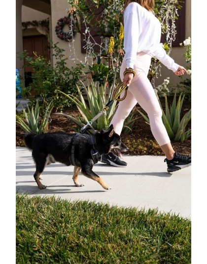 Bumblebee - Tug Control Leash with Reflectors & Shock Absorber - Large