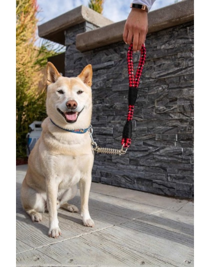 Ladybug - Tug Control Leash with Reflectors & Shock Absorber - XL