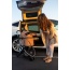 Champagne - Newport Pet Stroller (3-in-1 Travel System)