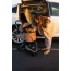 Champagne - Newport Pet Stroller (3-in-1 Travel System)