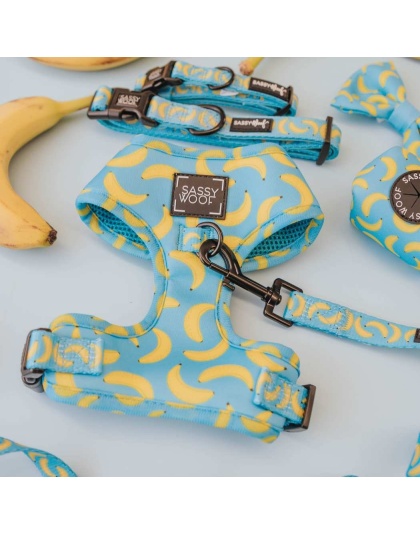 Peeling Sassy - Adjustable Harness  - Large