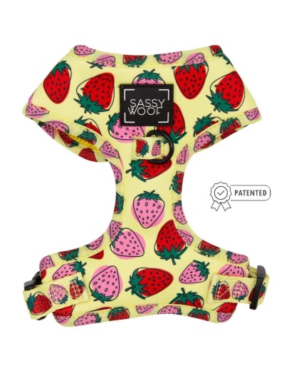 Strawberry Fields Furever - Adjustable Harness  - XSmall