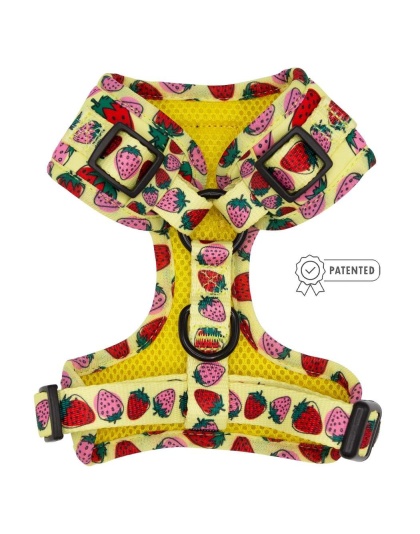 Strawberry Fields Furever - Adjustable Harness  - XXSmall