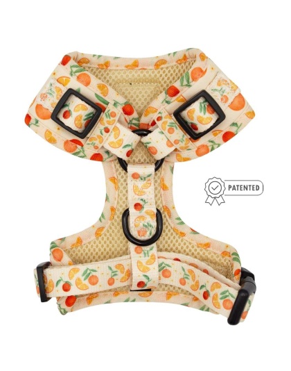 Simply the Zest - Adjustable Harness  - XSmall