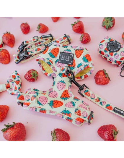 Strawberry Fields Furever - Adjustable Harness  - Large