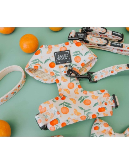 Simply the Zest - Adjustable Harness  - XSmall