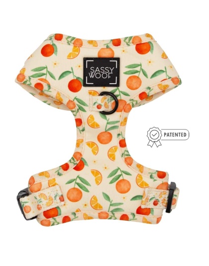 Simply the Zest - Adjustable Harness  - Large