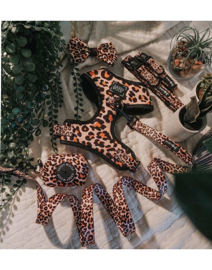 Sass Gone Wild - Adjustable Harness  - XXSmall