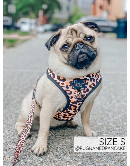Sass Gone Wild - Adjustable Harness  - XXSmall