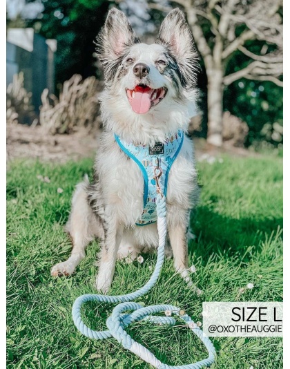 Daddy's Boy - Adjustable Harness  - Medium