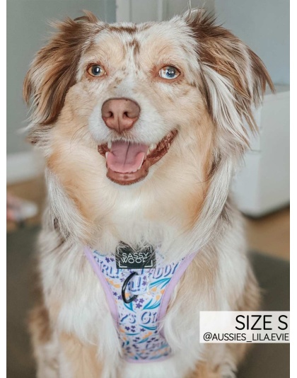 Daddy's Girl - Adjustable Harness  - Large