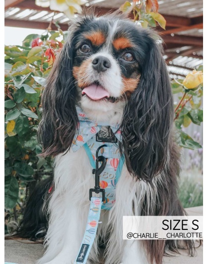 Mama's Boy - Adjustable Harness  - Medium