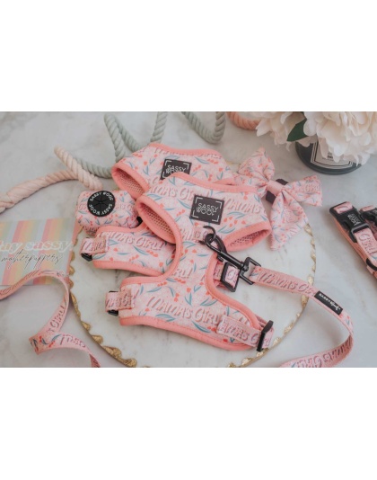 Mama's Girl - Adjustable Harness  - Small