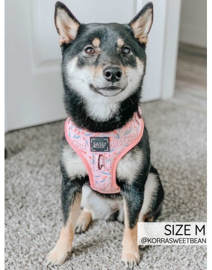 Mama's Girl - Adjustable Harness  - Small