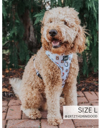 Jingle Bears - Adjustable Harness  - Small