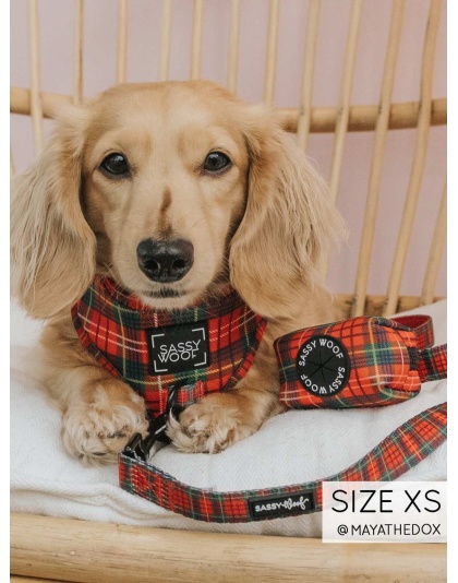 Deck the Paws - Adjustable Harness  - Small