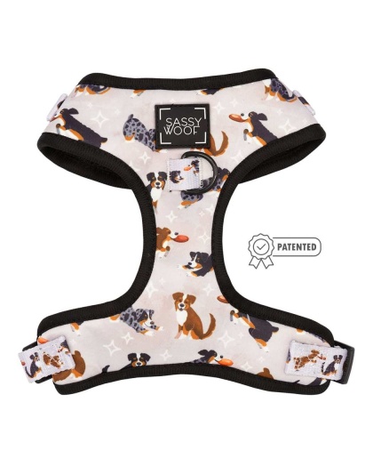 Too Much Auss - Adjustable Harness  - Small