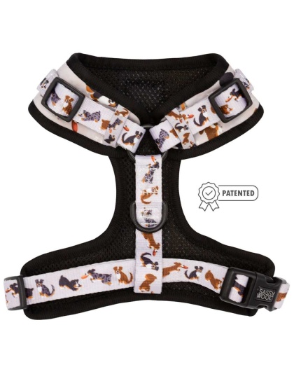 Too Much Auss - Adjustable Harness  - Large