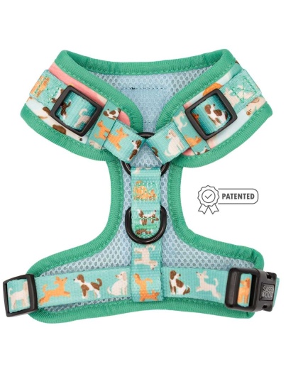 Oodles of Doodles - Adjustable Harness  - Medium