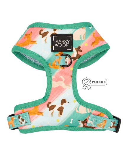 Oodles of Doodles - Adjustable Harness  - Large