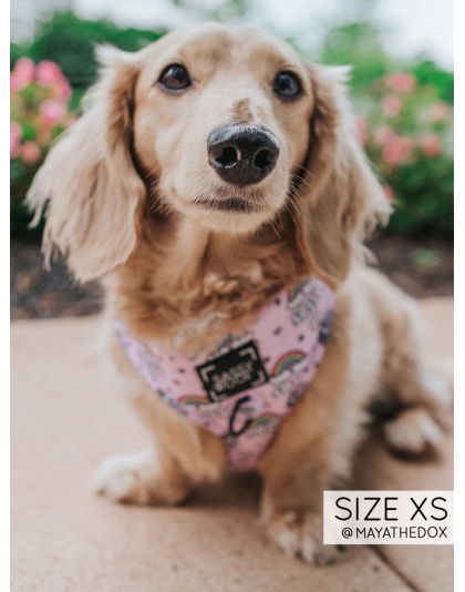 Sassy AF - Adjustable Harness  - Small