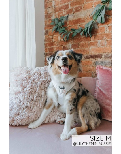 I Do, Too (White) - Adjustable Harness  - XLarge