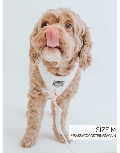 I Do, Too (White) - Adjustable Harness  - XLarge