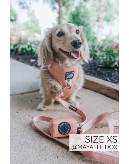 Apple Cider - Adjustable Harness  - XXSmall