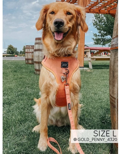 Apple Cider - Adjustable Harness  - XXSmall