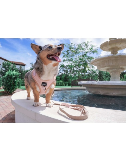 Pinot - Adjustable Harness  - XLarge