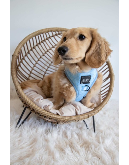 Blumond - Adjustable Harness  - XSmall