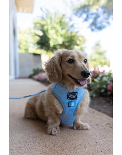 Blumond - Adjustable Harness  - Large