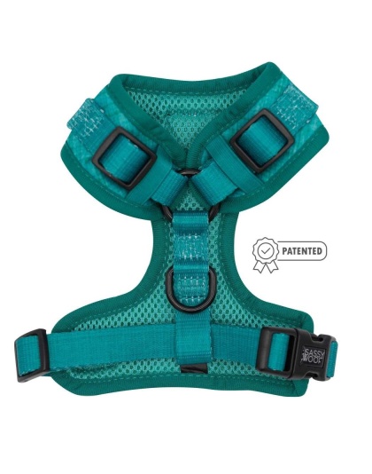 Napa - Adjustable Harness  - XSmall