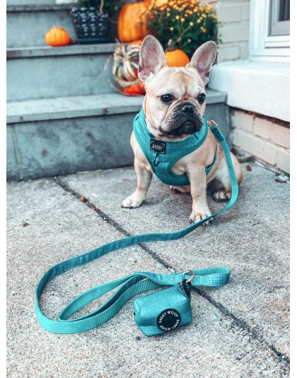 Napa - Adjustable Harness  - XSmall