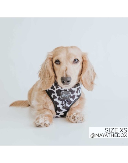 Got Milk - Adjustable Harness  - Large