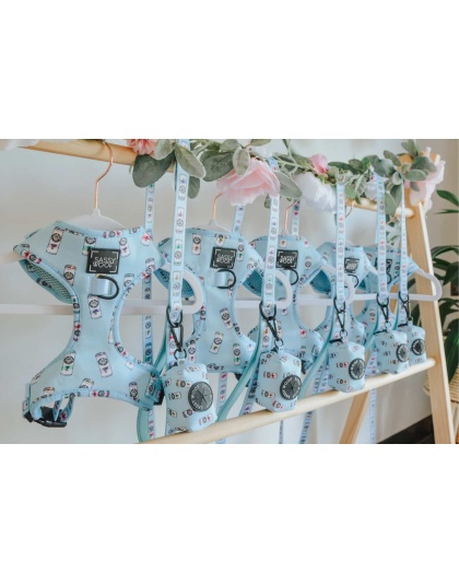 Woof Claw- Sassy Seltzer - Adjustable Harness  - Medium