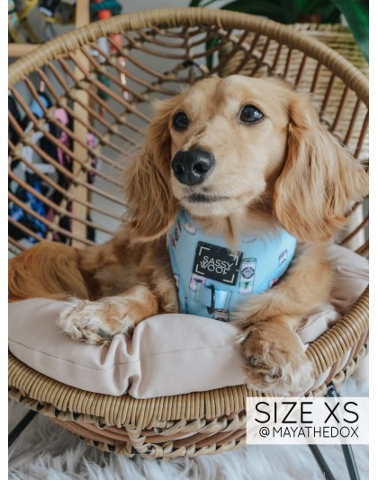 Woof Claw- Sassy Seltzer - Adjustable Harness  - Medium