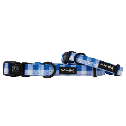 The Wizard of Paws - Sassy Woof Dog Collars - Medium