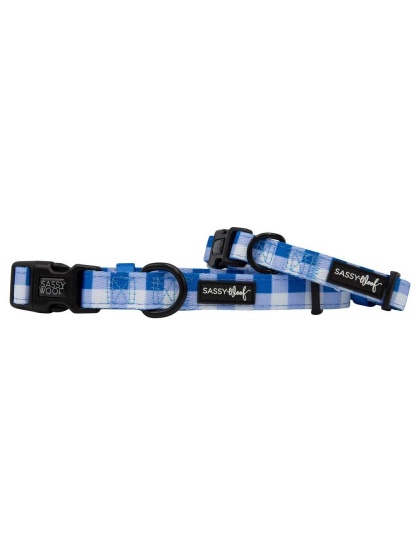The Wizard of Paws - Sassy Woof Dog Collars - Medium