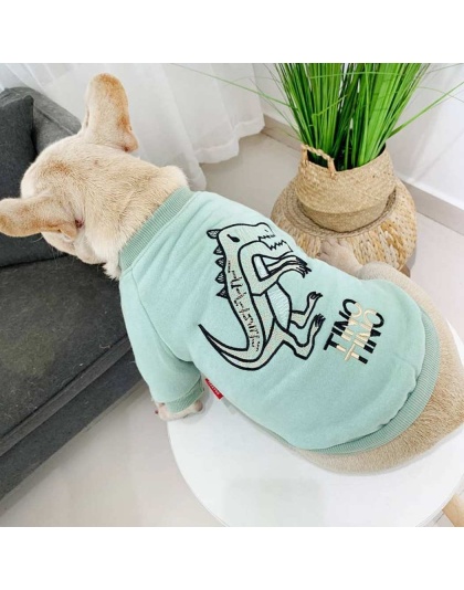Mint Green - Dinosaur Love - Matching Pet and Owner Clothing Set -   XL