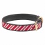 Leather with Candy Cane Embroidery - Halo Dog Collar  - XL
