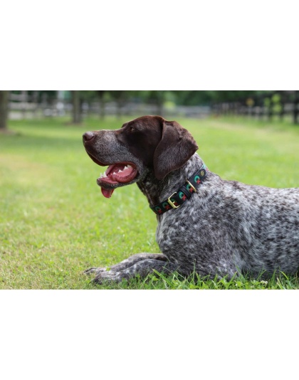 Leather with Christmas Wreath Embroidery - Halo Dog Collar  - M